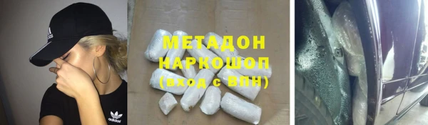 прущие грибы Горно-Алтайск