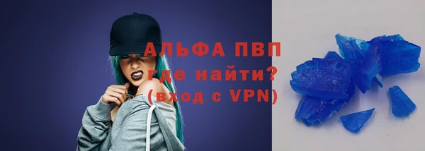 прущие грибы Горно-Алтайск