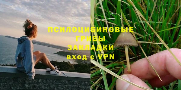 соль ск Горняк