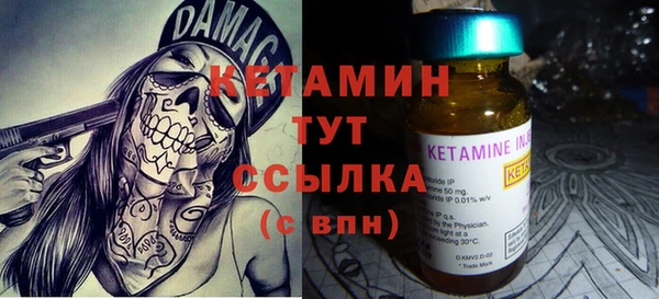 прущие грибы Горно-Алтайск