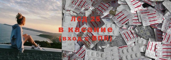 прущие грибы Горно-Алтайск
