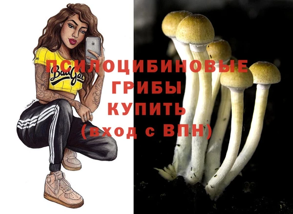 Альфа ПВП Горнозаводск